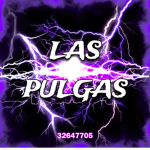 PulgasXD