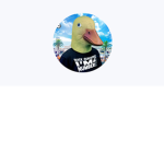 Big Birb Army