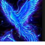 Phoenix club!!!
