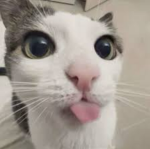 Dreammy :]