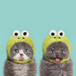 Me and my friendship with my friends