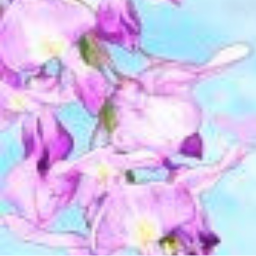 ✧