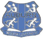 Auburn Public School
