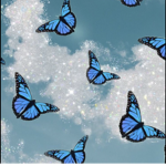 •gigi's butterflies•