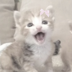 ♡
