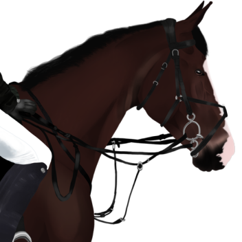 Westfield Racing (V2) 