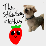 the strawberry clothes