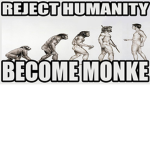 Monke intelligence