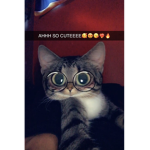 Aiden__Wolf3 U_U