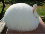 ẞhut U0