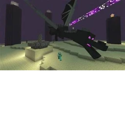 Ender Dragon Test icon