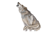 TleTlezaza[Get robux]