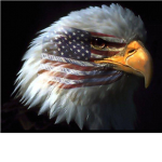 The United States of America's world
