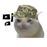 밈 부대 {공식 그룹}