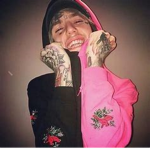 Bxbys butterflies