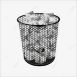 The Trash Experiences