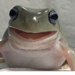 !!!Froggy squad!!!