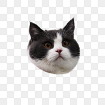 pokemon poper
