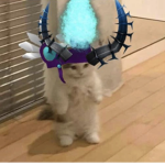 Ｃｙｂｅｒ H e x