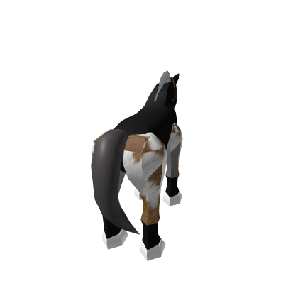 Foal_3