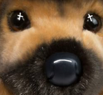Bella The Pup Group