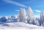 Snow day! <3
