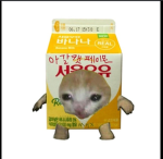 그룹가입하면## ##