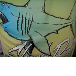 sharks_team