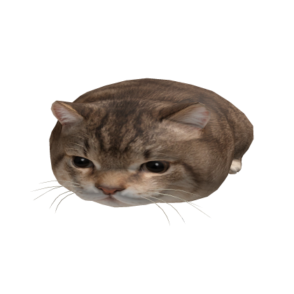 Cat Hat Pillow Cute
