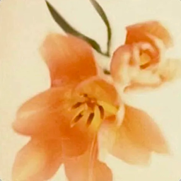 ❀