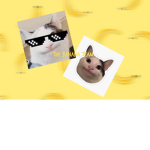 The Banana Team (OG)