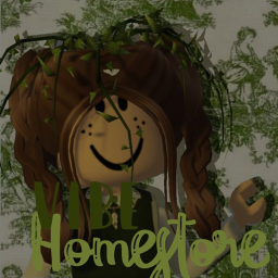 Vibe Home store