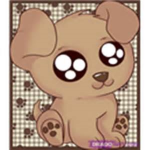 International Animal Rescue
