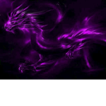 killer jr. dragons