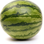 The MELONS!!!!!!!!!!11111!1!1!1