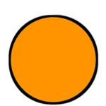 Leafless Orange