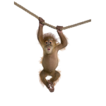 LittleCuteMonty Fan Group!
