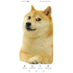 FRANROBLOXI
