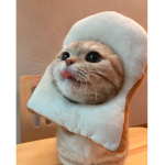 Meow meow <3