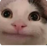 qqq000qqq0