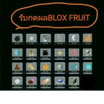 Kao studio block fruit thai