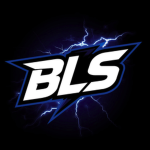 BLS Roblox Group