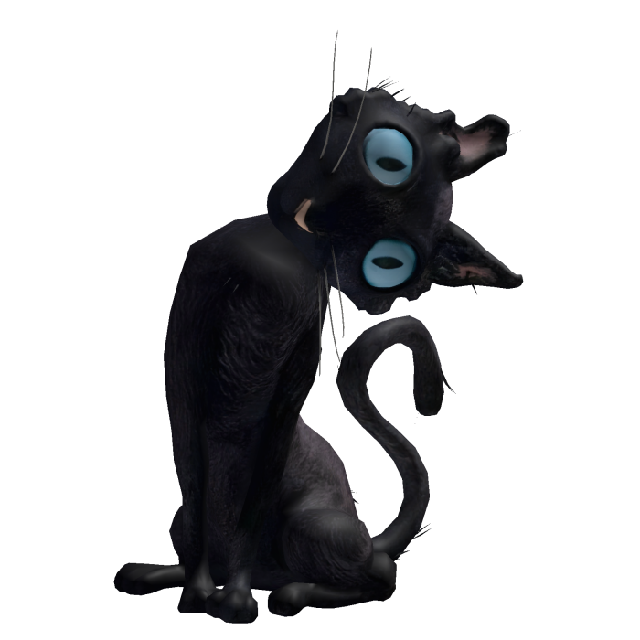 Coraline Cat