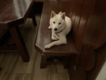 HappyToffeeKJ