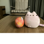 Football and pusheen
