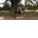 FOREST GUMP PEOPLE ARE NICE