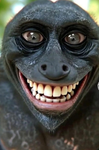 SwaggyHasAura