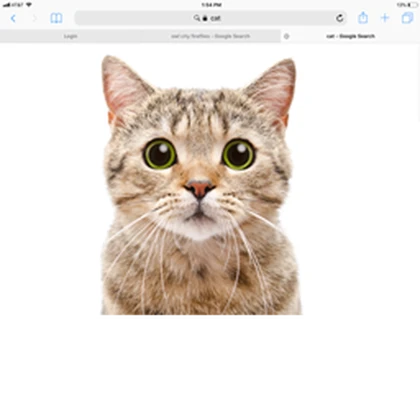 Group Icon