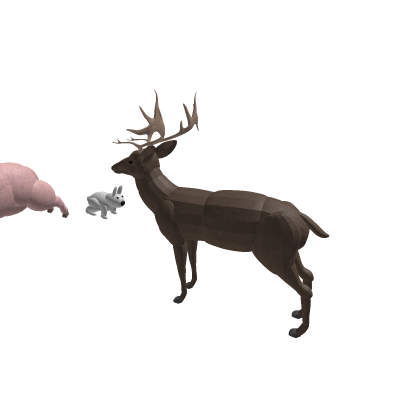 Deer 