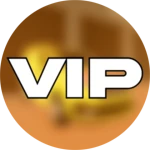 V.I.P BRONZE